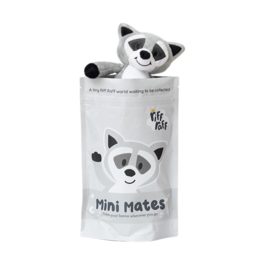 Bag Charm - Bandit the Raccoon