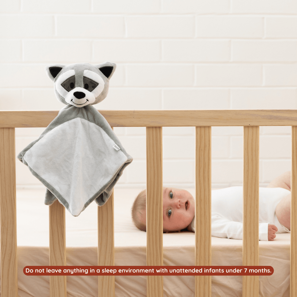 
                      
                        Sleep Toy - Bandit The Raccoon - Riff Raff Baby AU
                      
                    