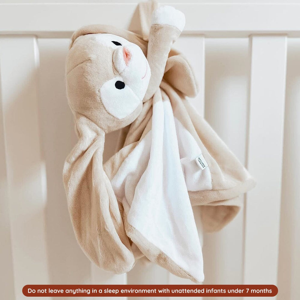 
                      
                        Sleep Toy - Clover The Bunny - Riff Raff Baby AU
                      
                    