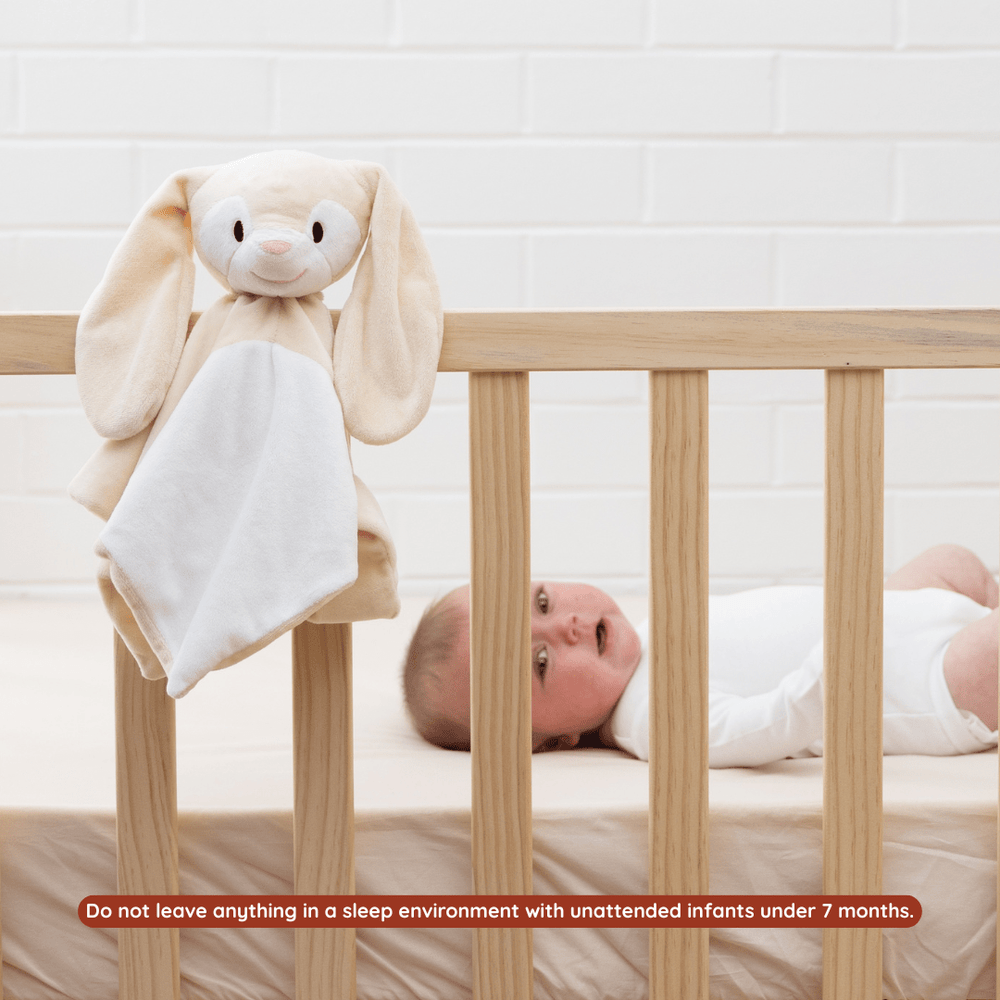 
                      
                        Sleep Toy - Clover The Bunny - Riff Raff Baby AU
                      
                    