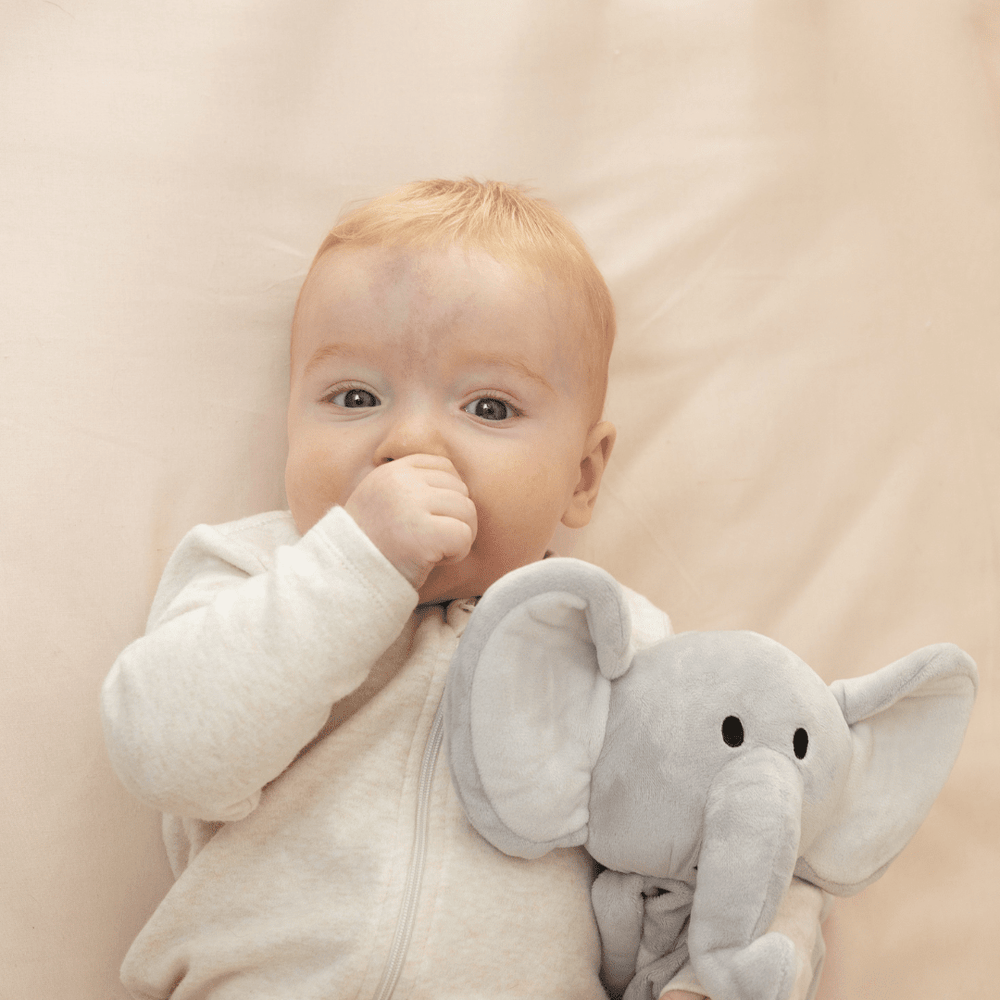 
                      
                        Sleep Toy - Stampy the Elephant - Riff Raff Baby AU
                      
                    