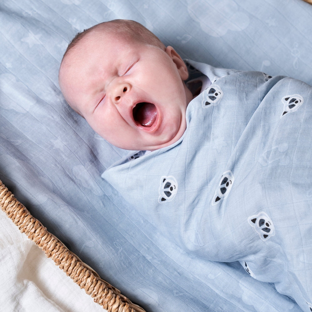 
                      
                        Muslin Wrap 2pk - Bandit The Raccoon Riff Raff Baby AU 
                      
                    